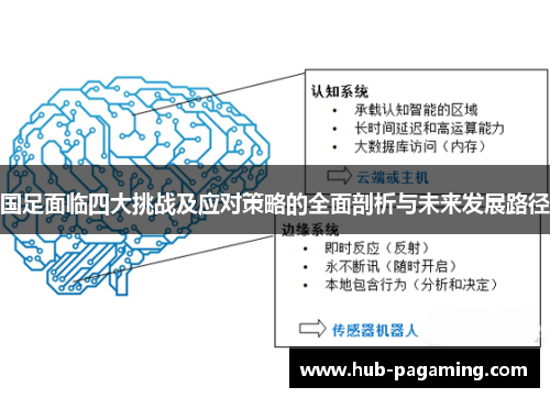 国足面临四大挑战及应对策略的全面剖析与未来发展路径