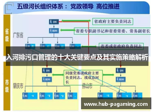 入河排污口管理的十大关键要点及其实施策略解析