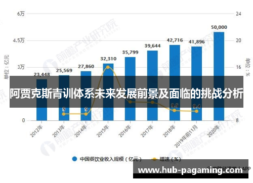 阿贾克斯青训体系未来发展前景及面临的挑战分析