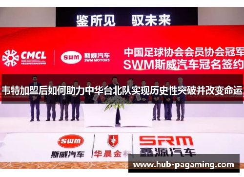 韦特加盟后如何助力中华台北队实现历史性突破并改变命运