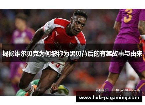 揭秘维尔贝克为何被称为黑贝背后的有趣故事与由来