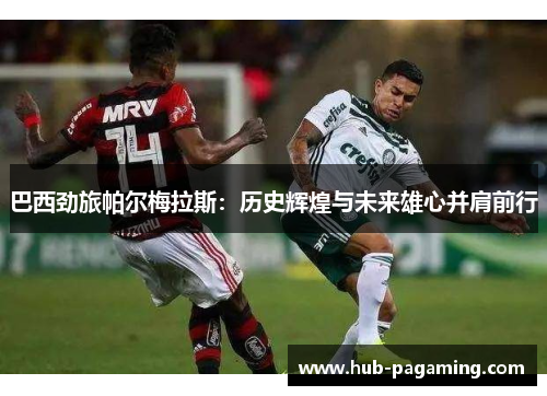 巴西劲旅帕尔梅拉斯:历史辉煌与未来雄心并肩前行 巴西劲旅帕尔梅拉斯:历史辉煌与未来雄心并肩前行
