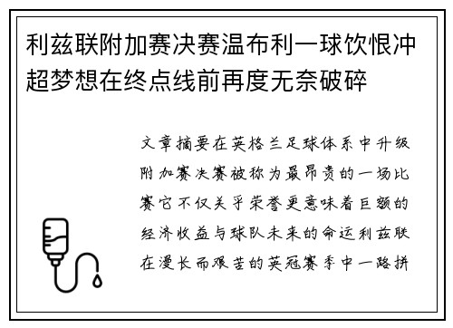 利兹联附加赛决赛温布利一球饮恨冲超梦想在终点线前再度无奈破碎