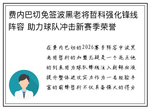 费内巴切免签波黑老将哲科强化锋线阵容 助力球队冲击新赛季荣誉 费内巴切免签波黑老将哲科强化锋线阵容 助力球队冲击新赛季荣誉